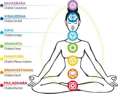 You are currently viewing LES CHAKRAS